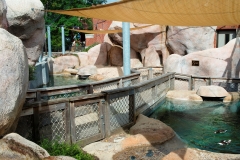Toledo Zoo Toledo, OH
